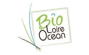 BLO logo