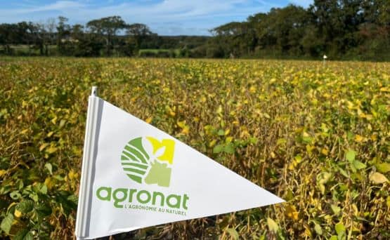 agronzt