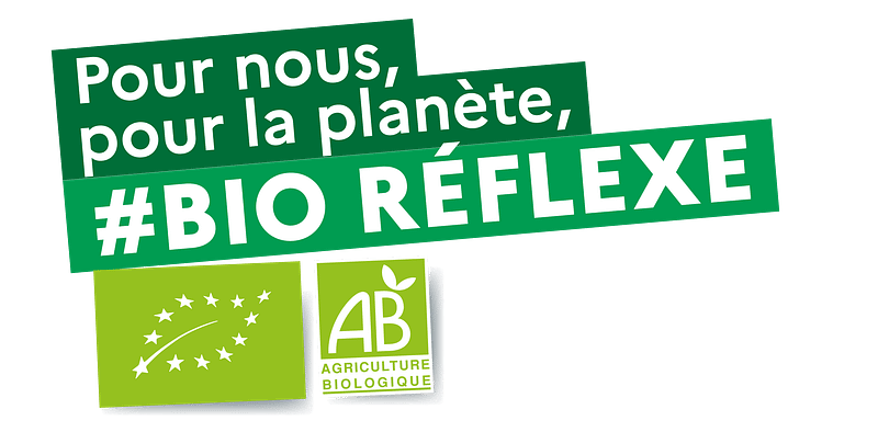 Logo Bio Réflexe