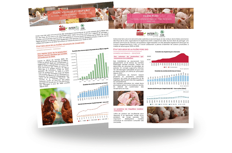 Fiches filières sans fond